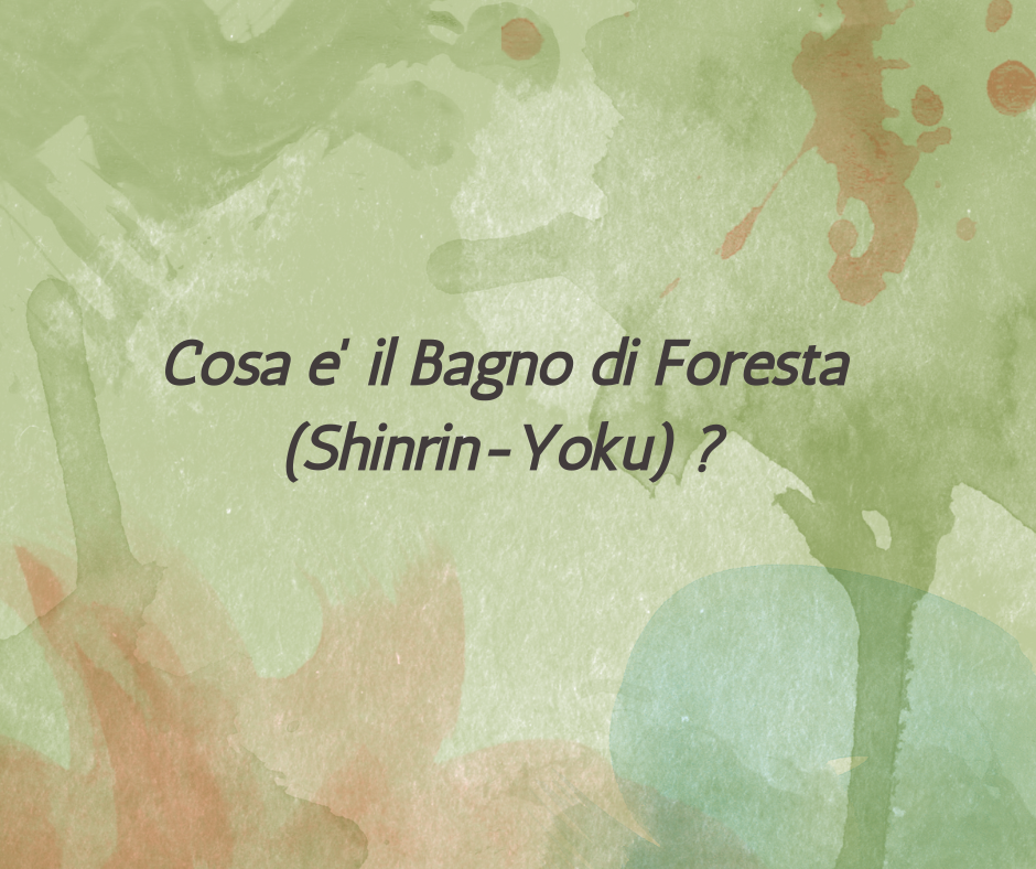 Cosa e’ il Bagno di Foresta (Shinrin Yoku)?