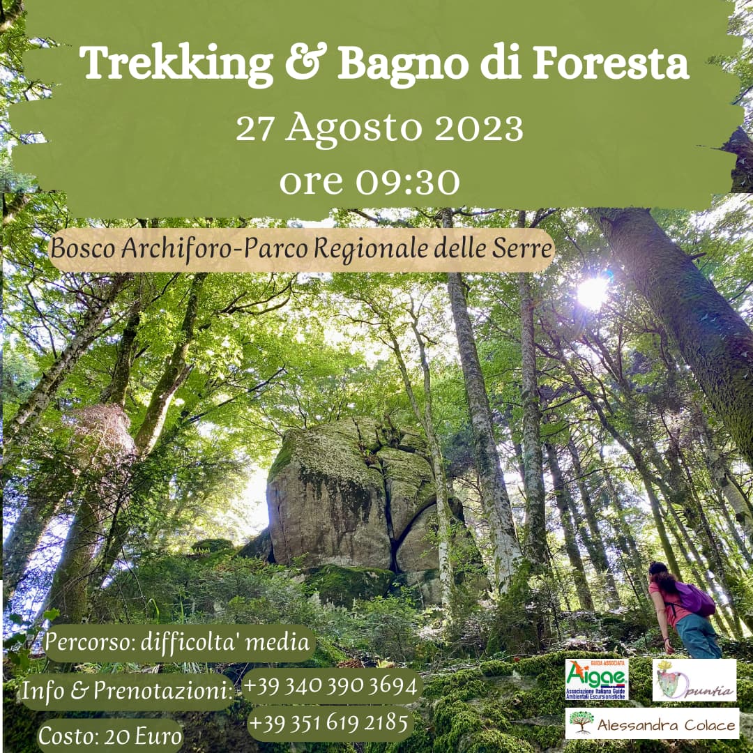 Trekking & Bagno di Foresta -Parco Naturale Regionale delle Serre