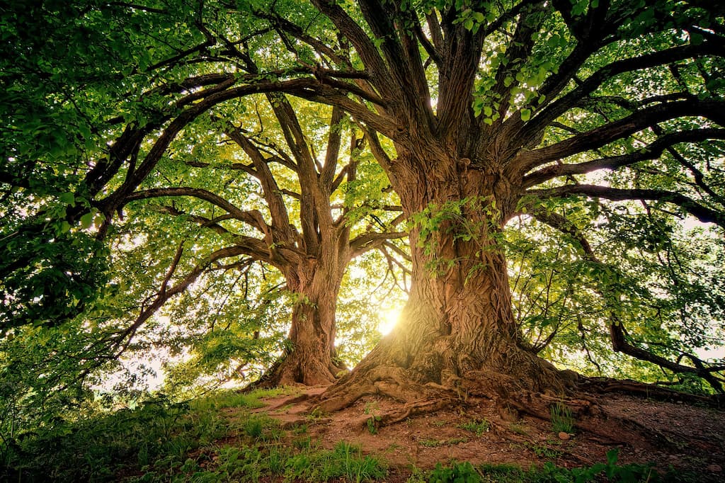 a spasso con la natura calabrese